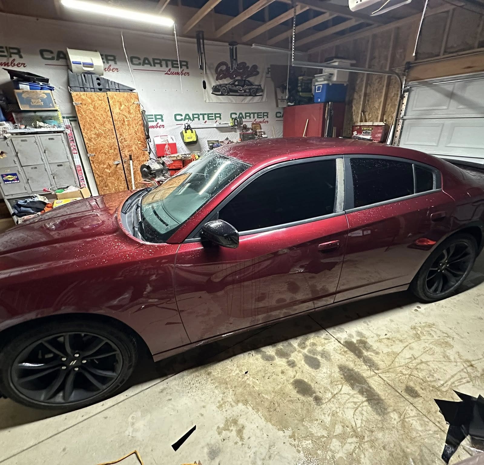 Charger - 5% Window Tint